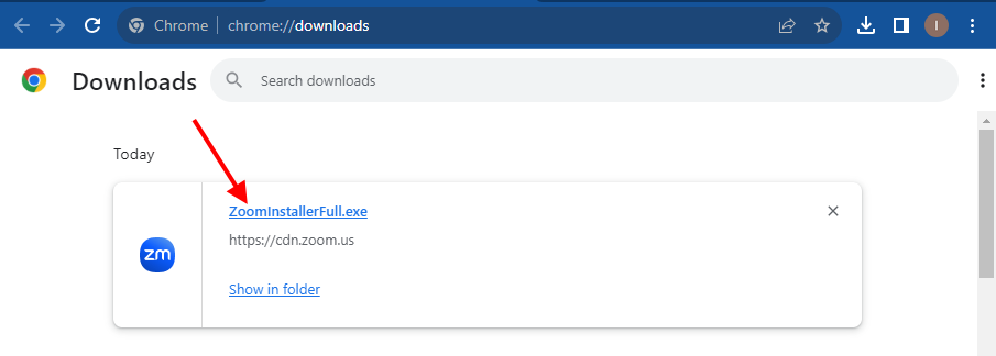 Arrow pointing at the Zoom installer file